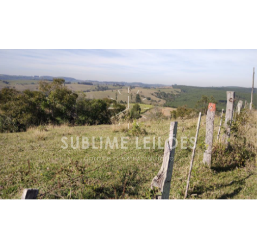 Foto de 139,30m² Hectares | Sem benfeitorias