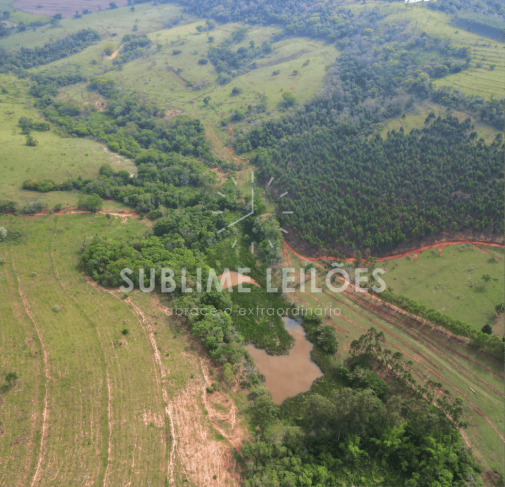 Foto de 123 hectares