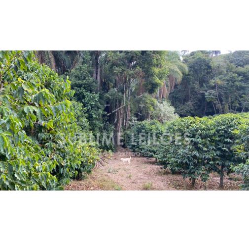 Foto de Terreno de 13,67 hectares | Sem benfeitorias