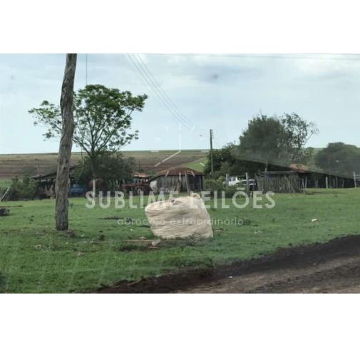 Foto de 29 Alqueires | Benfeitorias