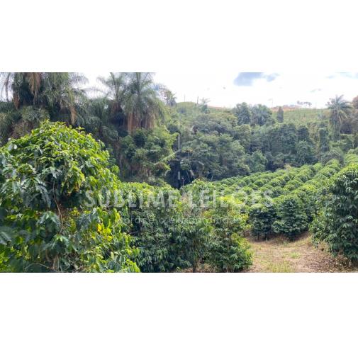 Foto de Terreno de 13,67 hectares | Sem benfeitorias