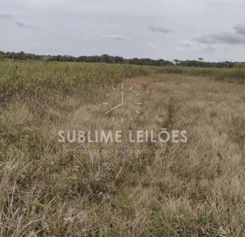 Foto de Terreno de 300m² | Sem benfeitorias