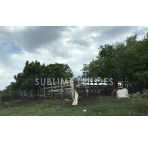 Foto de 29 Alqueires | Benfeitorias