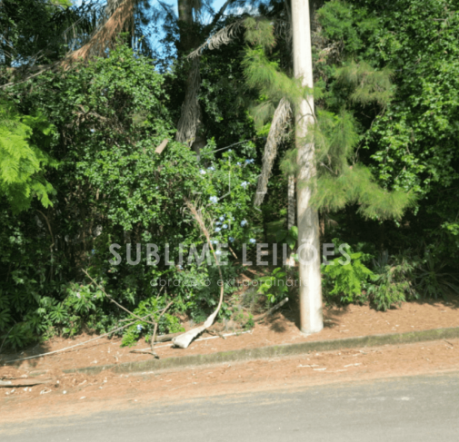 Foto de Terreno de 970m² | Frente de 21m²