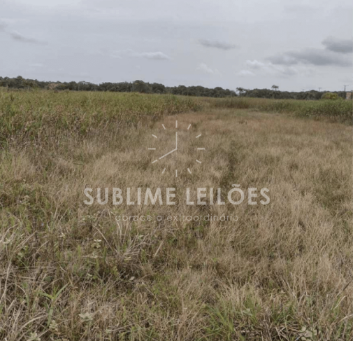 Foto de Terreno de 300m² | Sem benfeitorias