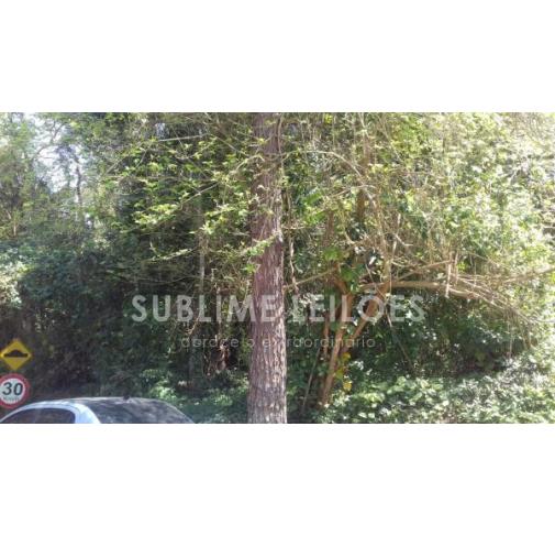 Foto de Terreno de Cotia