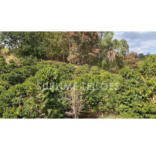 Foto de Terreno de 13,67 hectares | Sem benfeitorias