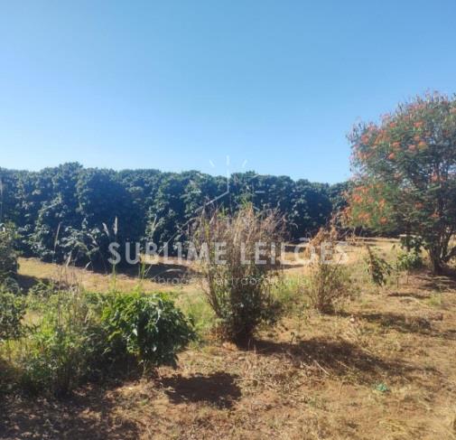 Foto de B) Gleba de terras | Terreno de 10,55 hectares