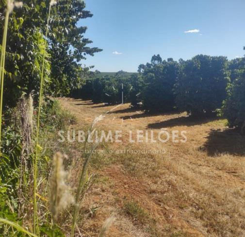 Foto de B) Gleba de terras | Terreno de 10,55 hectares