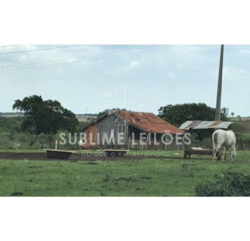 Foto de 29 Alqueires | Benfeitorias