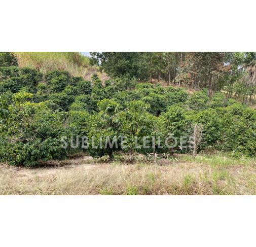 Foto de Terreno de 13,67 hectares | Sem benfeitorias