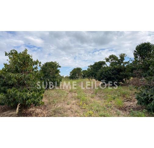Foto de Terreno de 13,67 hectares | Sem benfeitorias
