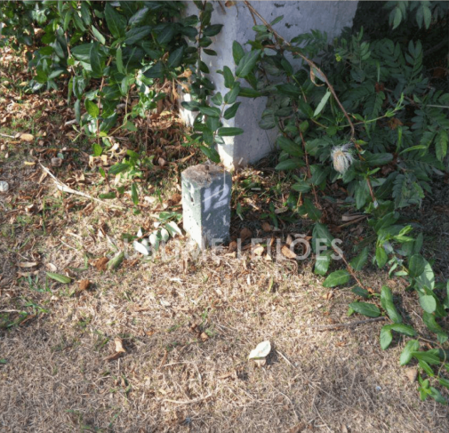 Foto de Terreno de 3.025m² | Sem benfeitorias