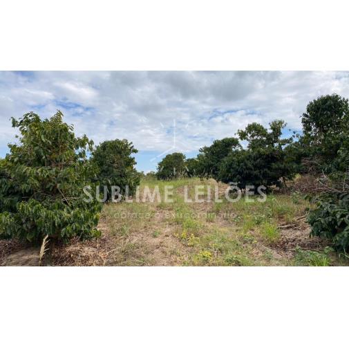 Foto de Terreno de 13,67 hectares | Sem benfeitorias