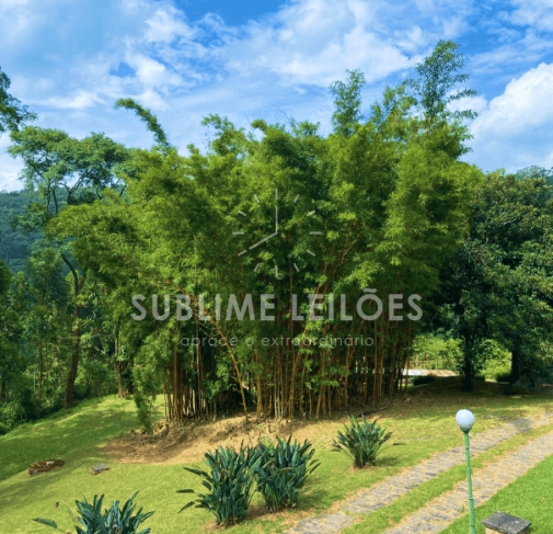 Foto de Terreno de 30.200m² | Benfeitorias