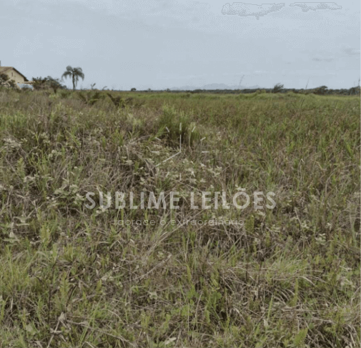 Foto de Terreno de 300m² | Sem benfeitorias
