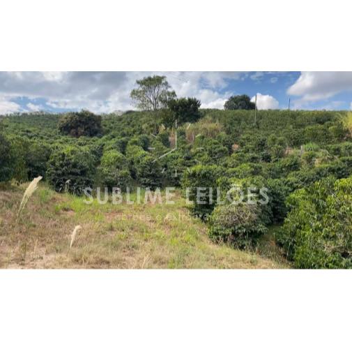 Foto de Terreno de 13,67 hectares | Sem benfeitorias